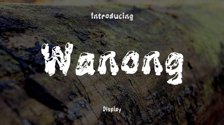 Wanong Font