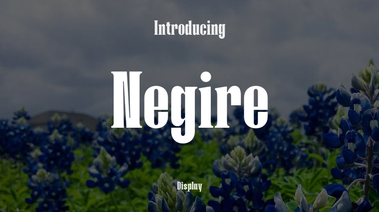 Negire Font