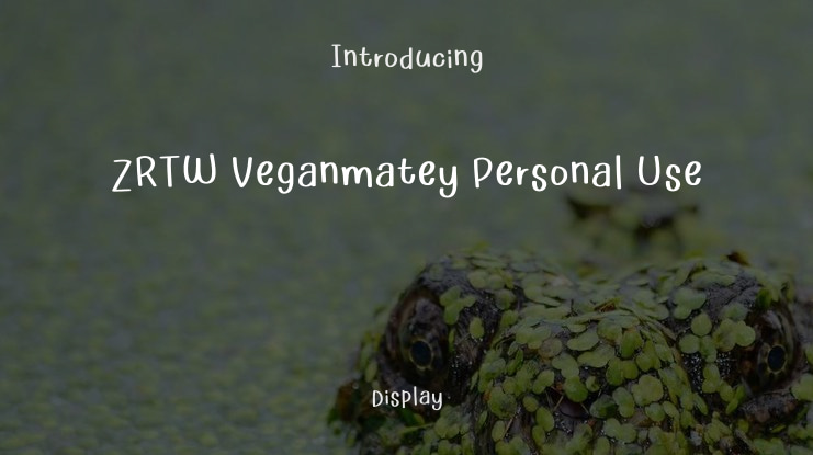 ZRTW Veganmatey Personal Use Font