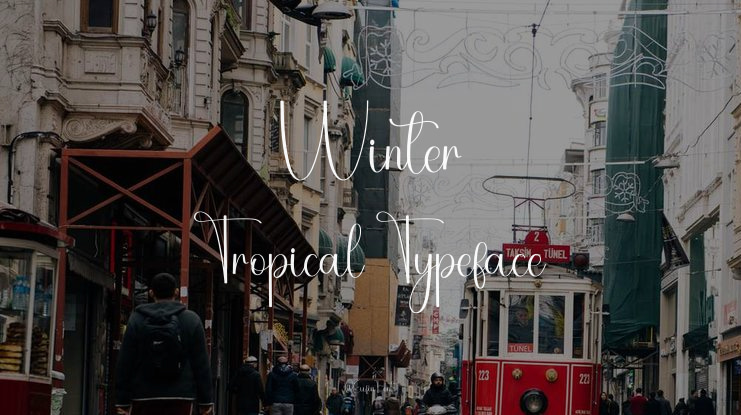 Winter Tropical Font