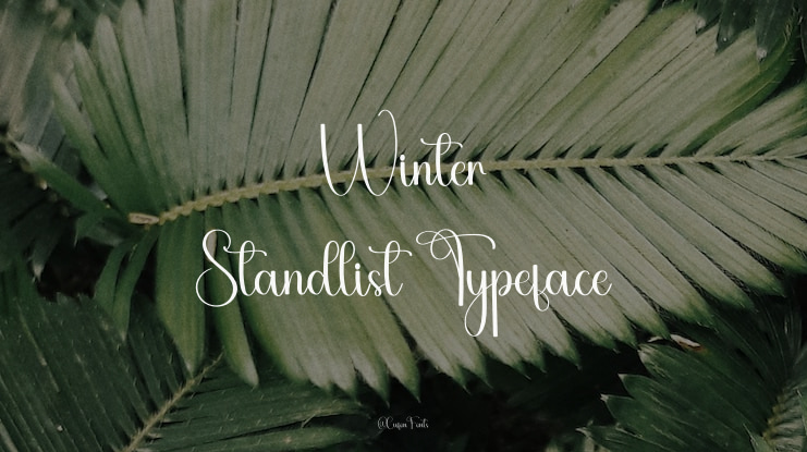 Winter Standlist Font