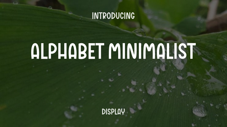 Alphabet Minimalist Font