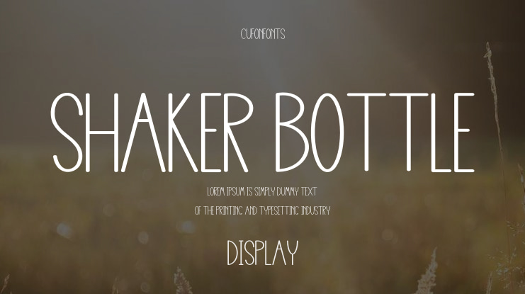 Shaker Bottle Font