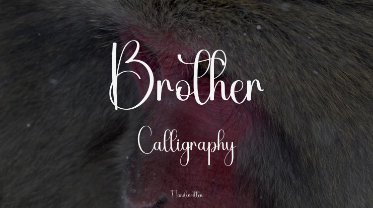 Brother Calligraphy Font