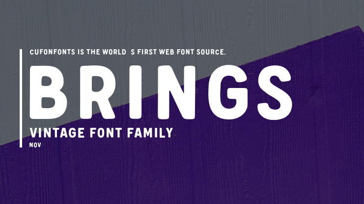 Brings Vintage Font Family