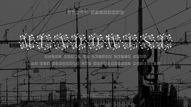 Meadowise Font