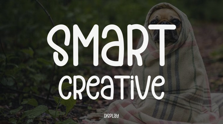 Smart Creative Font
