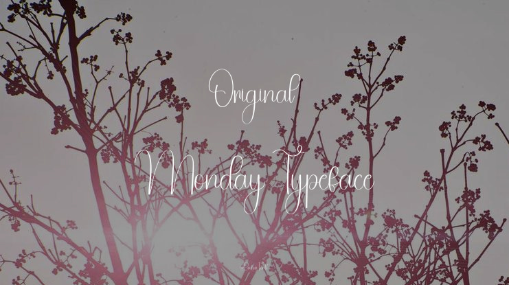 Original  Monday Font