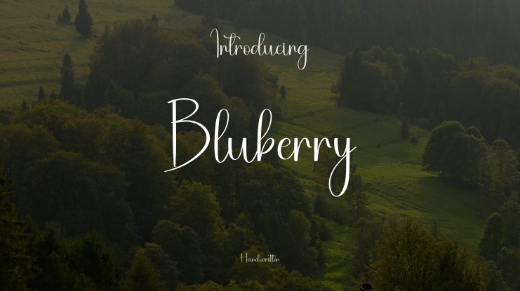 Bluberry Font