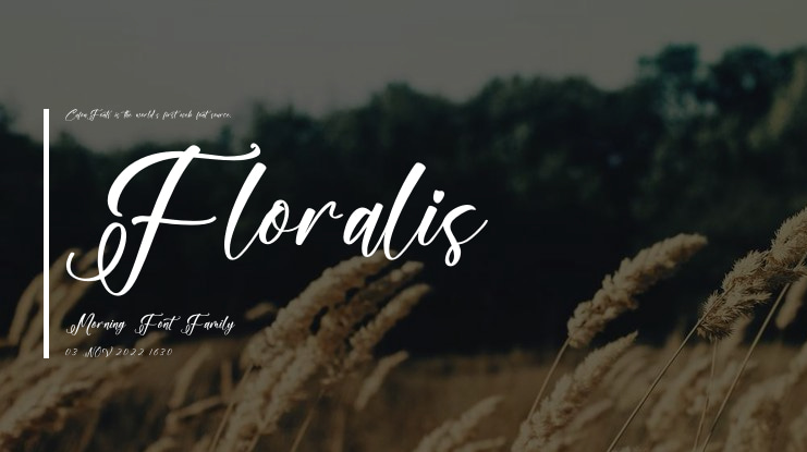 Floralis Morning Font