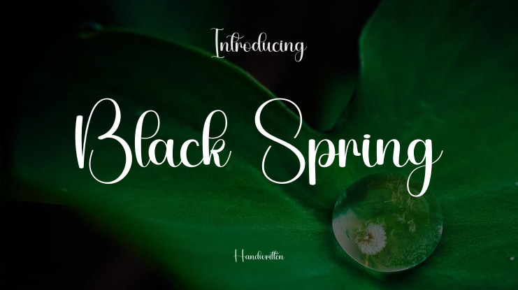 Black Spring Font