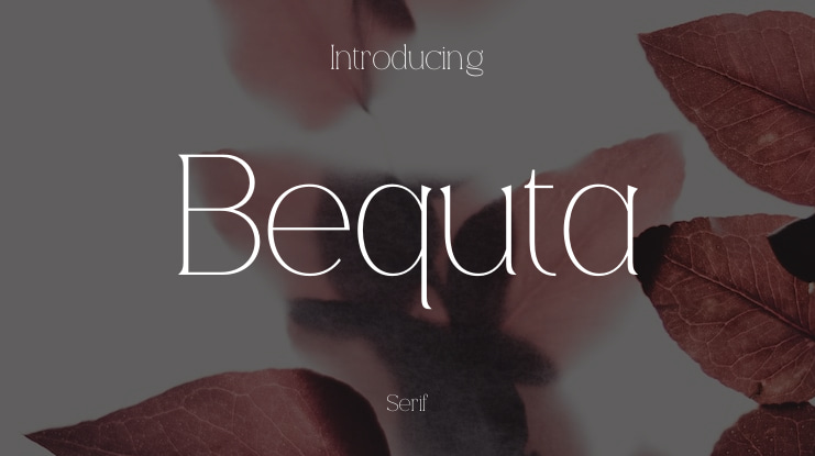 Bequta Font