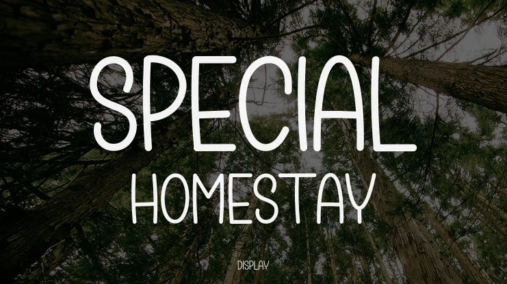 Special Homestay Font