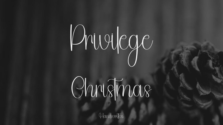 Privilege Christmas Font