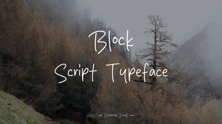 Block Script Font