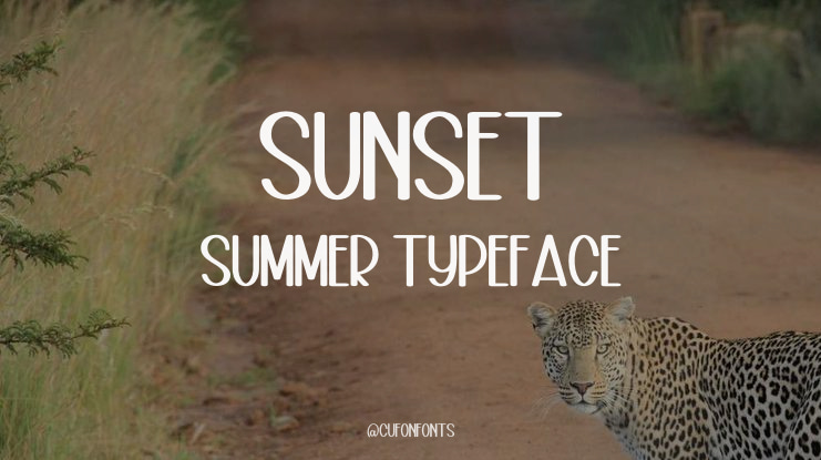 Sunset Summer Font