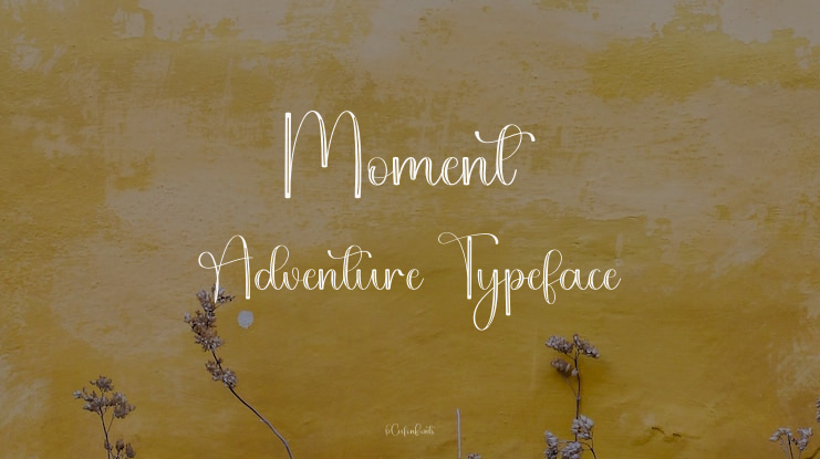 Moment Adventure Font