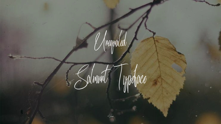 Unequaled Salmunt Font