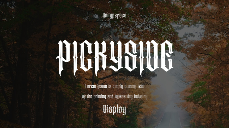 PICKYSIDE Font