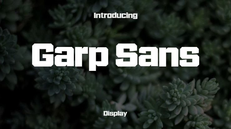 Garp Sans Font Family