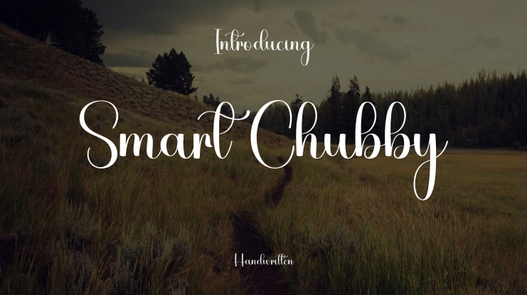 Smart Chubby Font