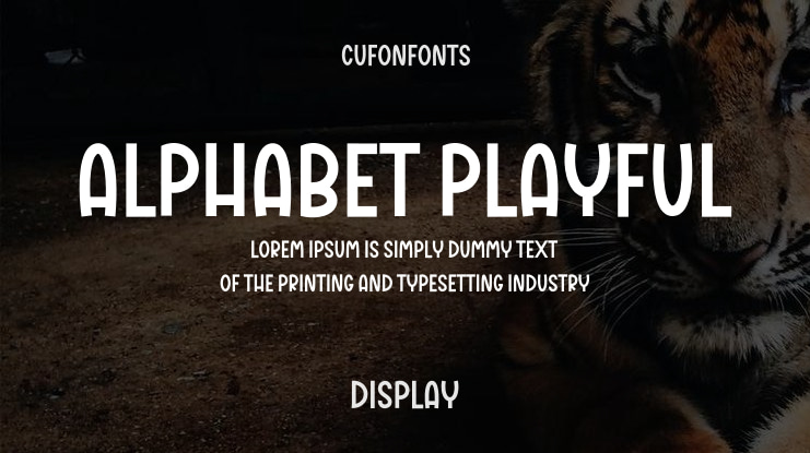 Alphabet Playful Font