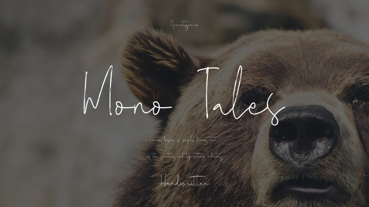 Mono Tales Font Family