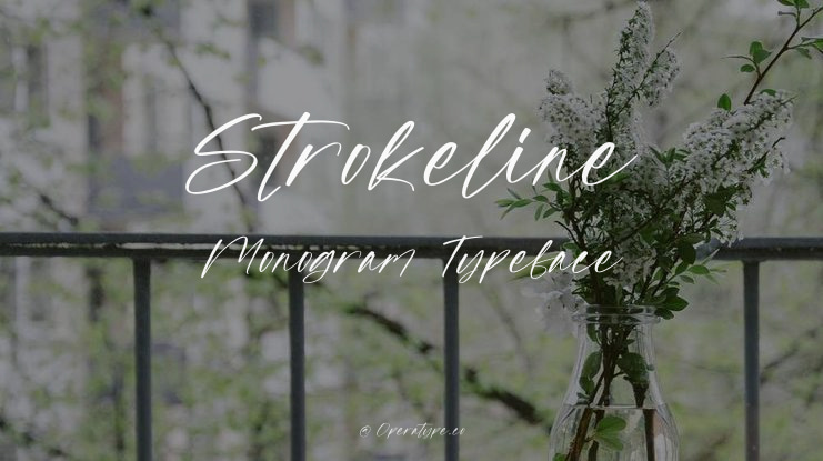 Strokeline Monogram Font Family
