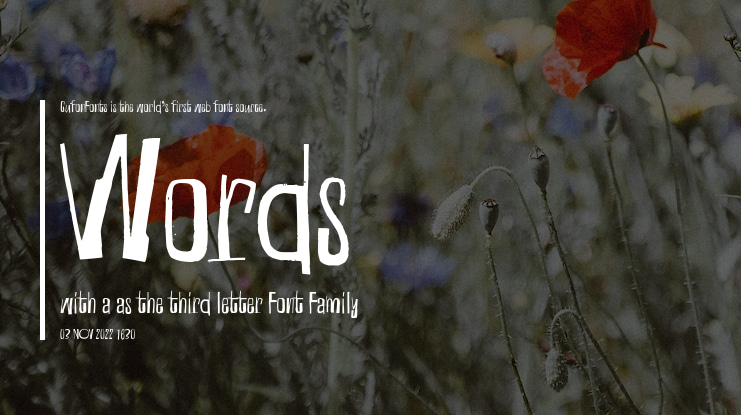 Words with a as the third letter Font