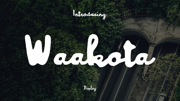 Waakota Font