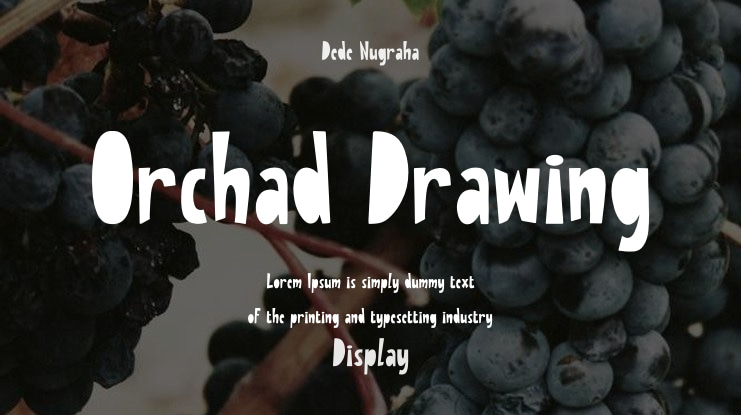 Orchad Drawing Font