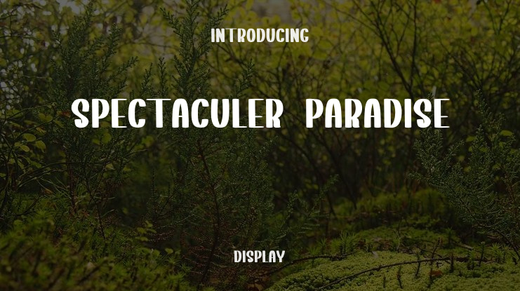 Spectaculer Paradise Font