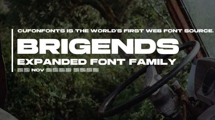 Brigends Expanded Font