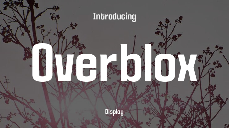 Overblox Font Family