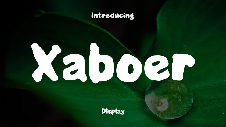 Xaboer Font