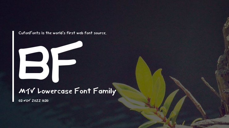 BF MTV Lowercase Font