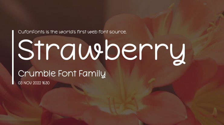 Strawberry Crumble Font