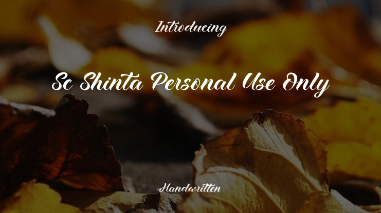 Sc Shinta Personal Use Only Font