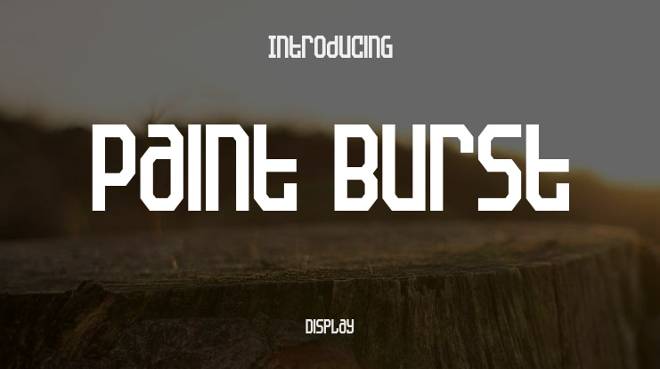 Paint Burst Font Family