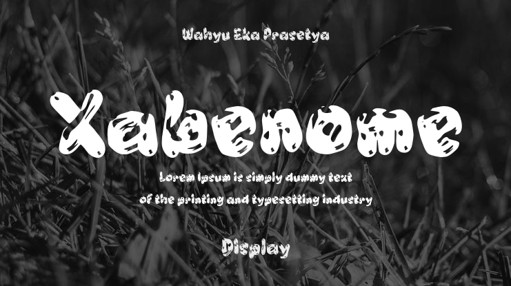 Xabenome Font
