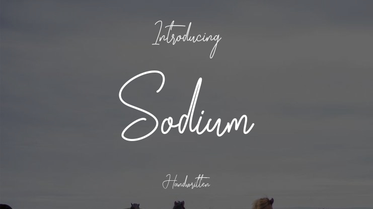 Sodium Font
