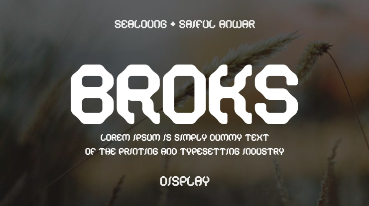 Broks Font