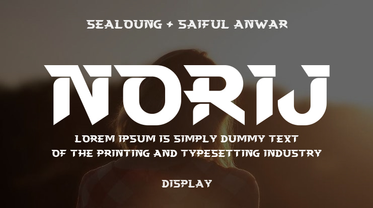 Norij Font
