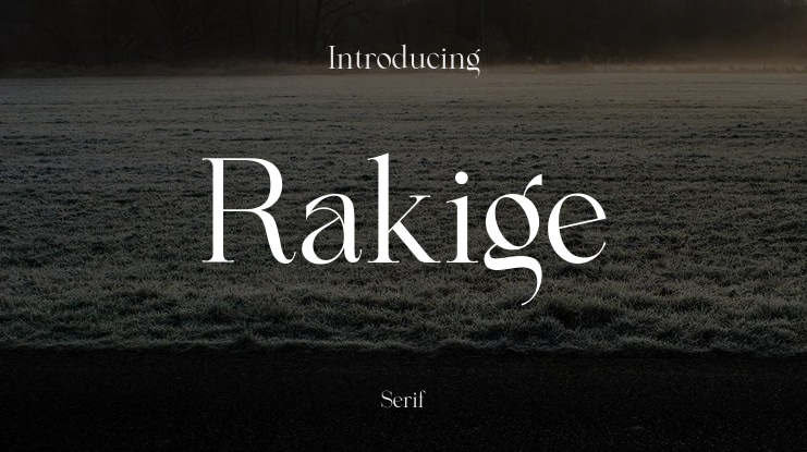 Rakige Font