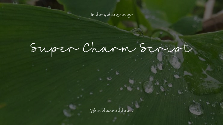 Super Charm Script Font