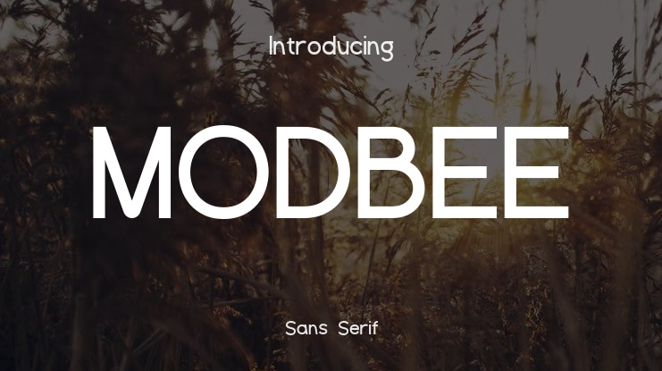 MODBEE Font