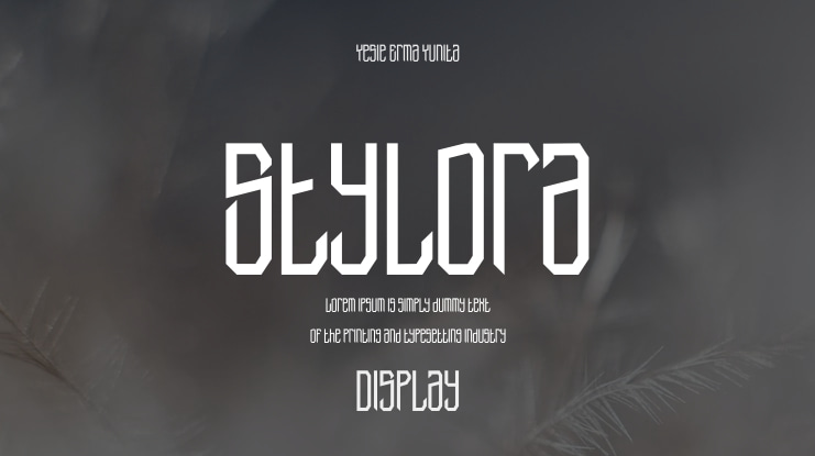 Stylora Font