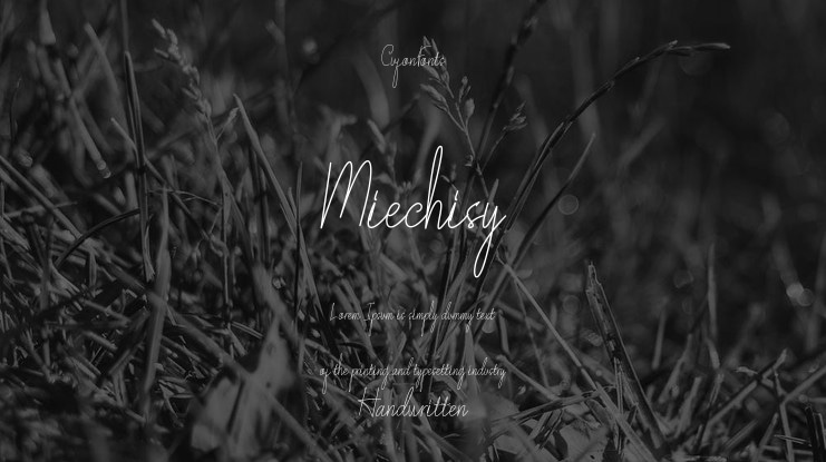 Miechisy Font