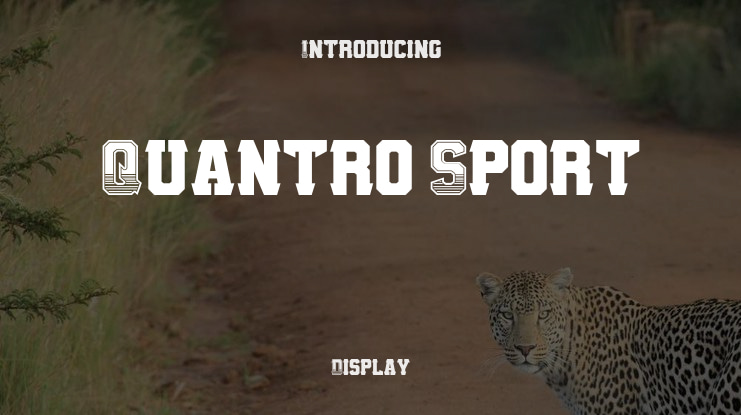 Quantro Sport Font