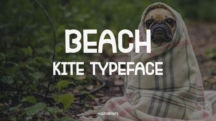 Beach Kite Font